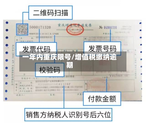 一年内重庆限号/增值税缴纳逾期