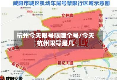 杭州今天限号限哪个号/今天杭州限号是几