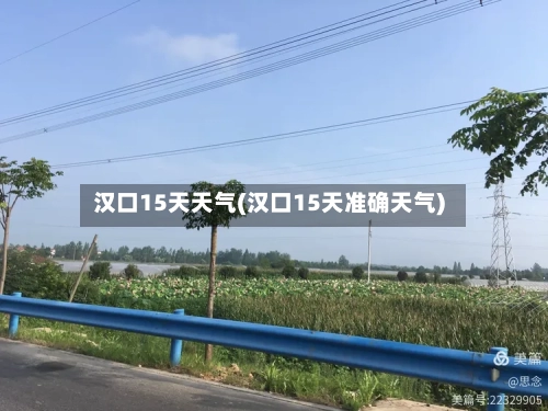 汉口15天天气(汉口15天准确天气)