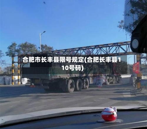 合肥市长丰县限号规定(合肥长丰县110号码)
