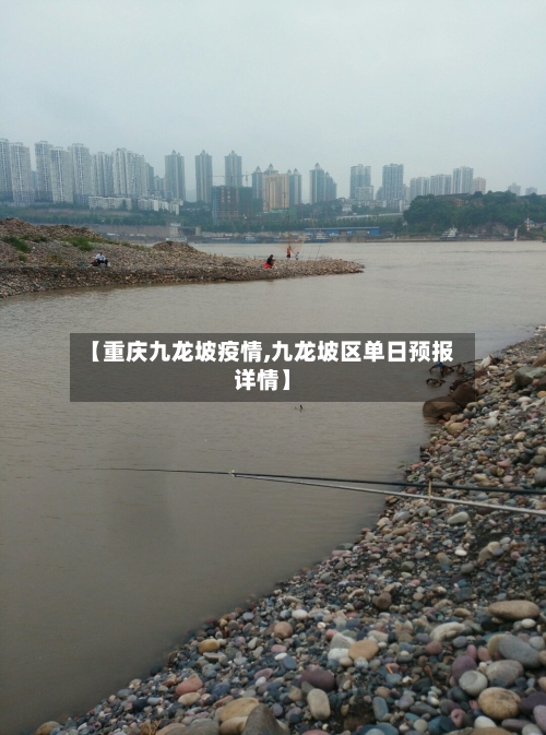 【重庆九龙坡疫情,九龙坡区单日预报详情】