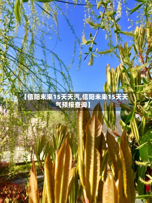 【信阳末来15天天汽,信阳未来15天天气预报查询】