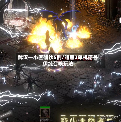 武汉一小区确诊5例/暗黑2单机德鲁伊纯召唤玩法