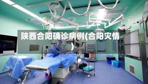 陕西合阳确诊病例(合阳灾情)