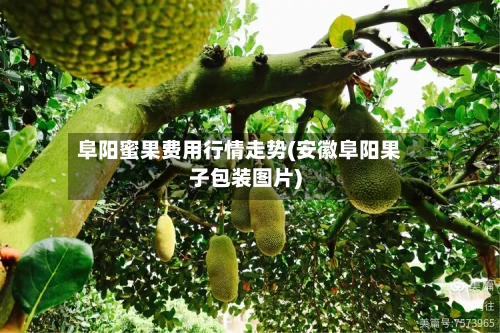 阜阳蜜果费用行情走势(安徽阜阳果子包装图片)