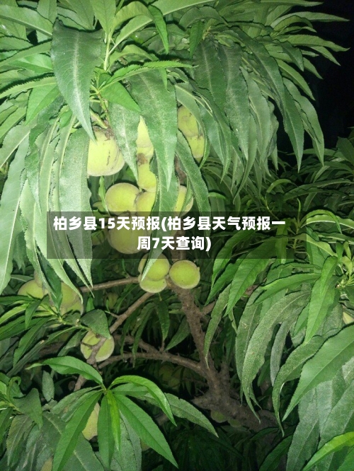 柏乡县15天预报(柏乡县天气预报一周7天查询)