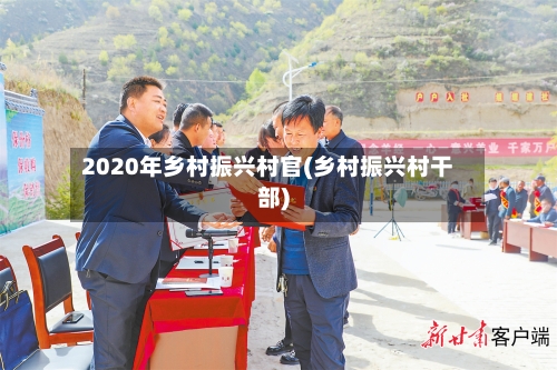 2020年乡村振兴村官(乡村振兴村干部)