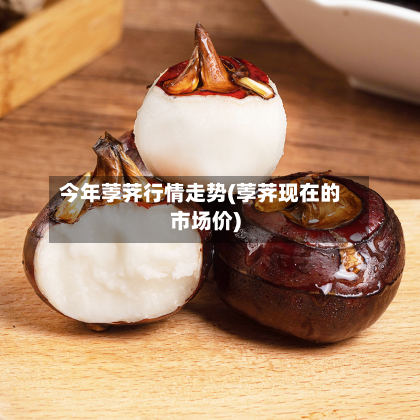 今年荸荠行情走势(荸荠现在的市场价)