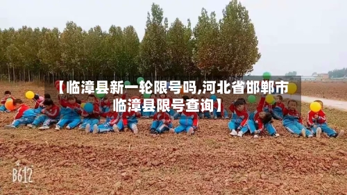 【临漳县新一轮限号吗,河北省邯郸市临漳县限号查询】