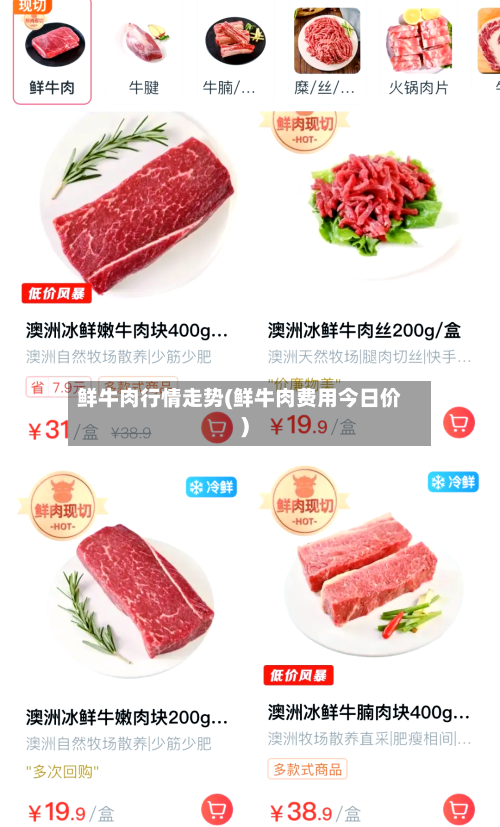 鲜牛肉行情走势(鲜牛肉费用今日价)