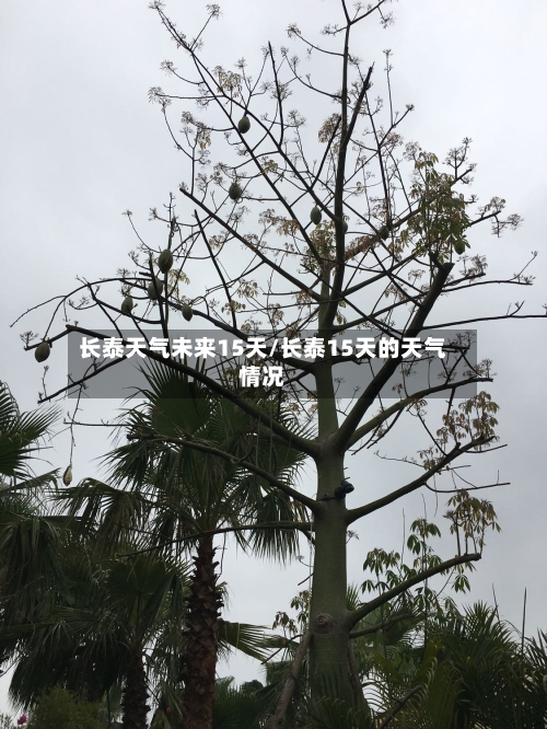长泰天气未来15天/长泰15天的天气情况