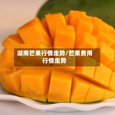 湖南芒果行情走势/芒果费用行情走势