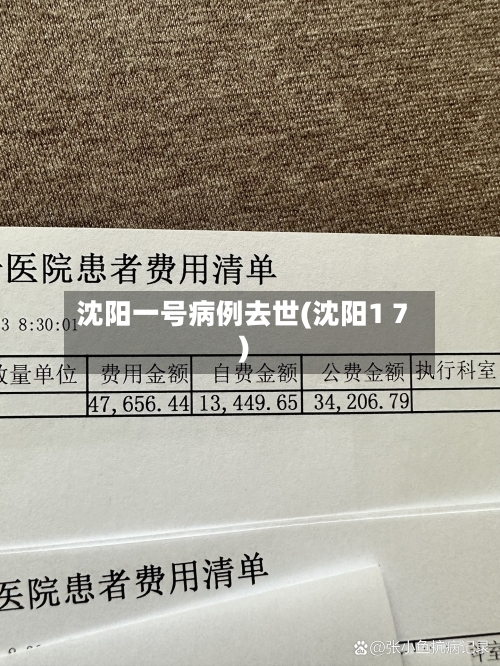 沈阳一号病例去世(沈阳1 7)
