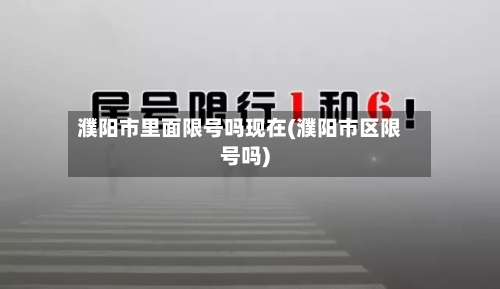 濮阳市里面限号吗现在(濮阳市区限号吗)