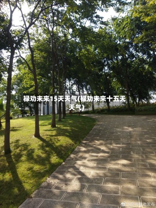 禄劝未来15天天气(禄劝未来十五天天气)