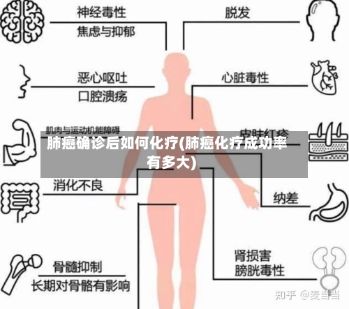 肺癌确诊后如何化疗(肺癌化疗成功率有多大)