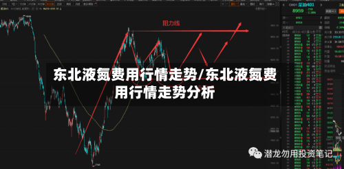 东北液氮费用行情走势/东北液氮费用行情走势分析