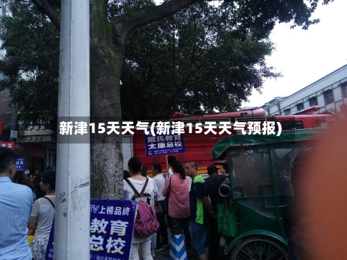 新津15天天气(新津15天天气预报)