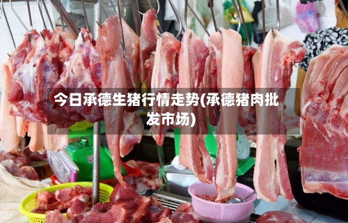 今日承德生猪行情走势(承德猪肉批发市场)
