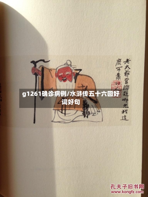 g1261确诊病例/水浒传五十六回好词好句