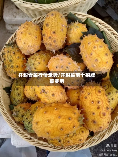 开封青菜行情走势/开封菜前十招牌菜费用