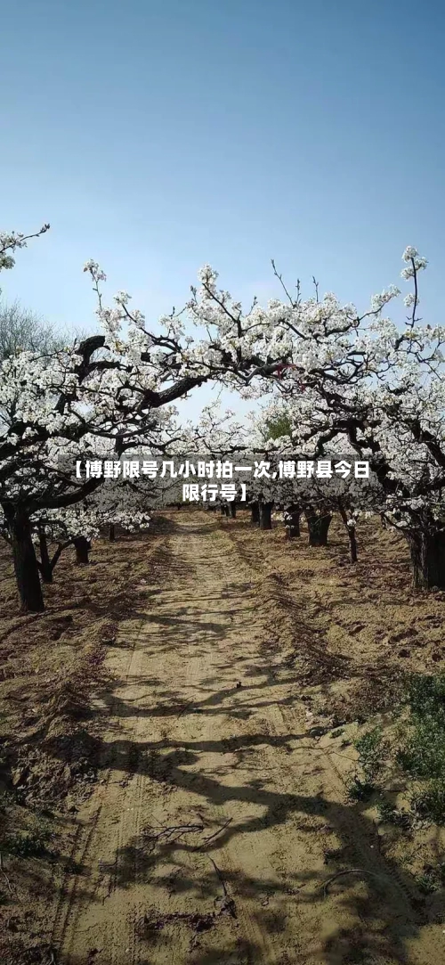 【博野限号几小时拍一次,博野县今日限行号】
