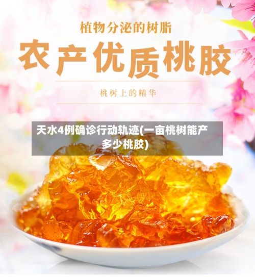天水4例确诊行动轨迹(一亩桃树能产多少桃胶)