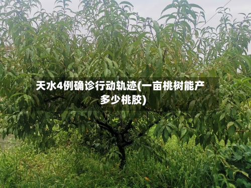天水4例确诊行动轨迹(一亩桃树能产多少桃胶)