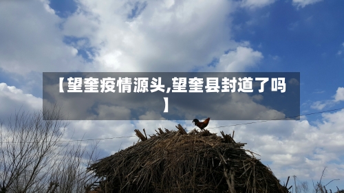 【望奎疫情源头,望奎县封道了吗】