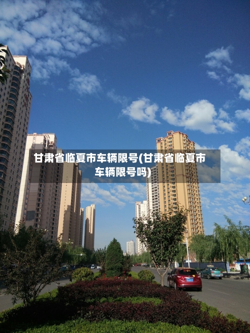 甘肃省临夏市车辆限号(甘肃省临夏市车辆限号吗)