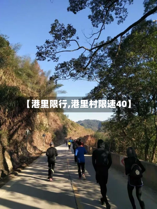 【港里限行,港里村限速40】