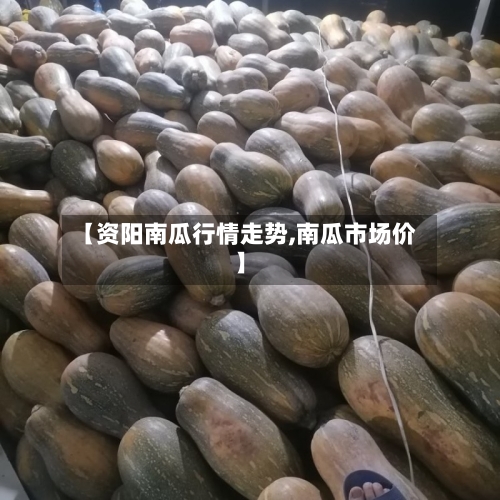 【资阳南瓜行情走势,南瓜市场价】