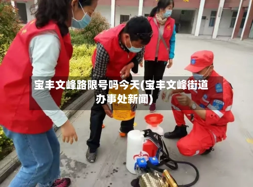 宝丰文峰路限号吗今天(宝丰文峰街道办事处新闻)