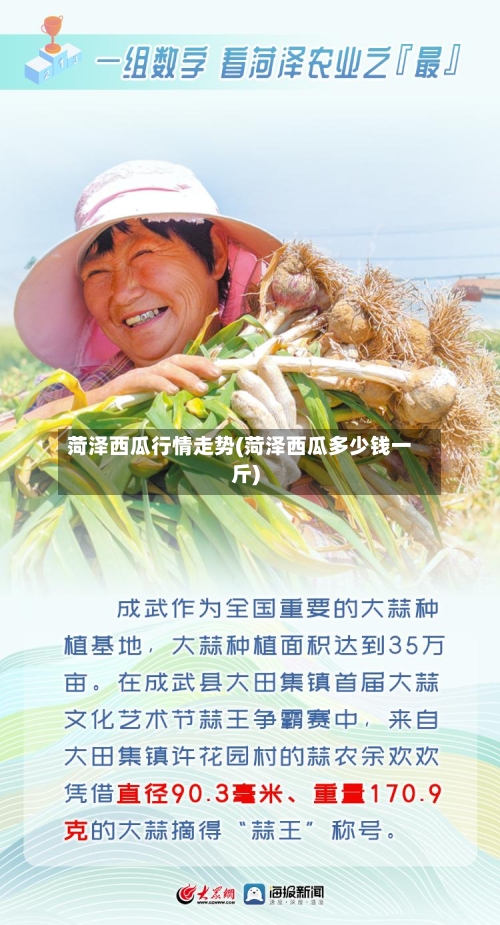 菏泽西瓜行情走势(菏泽西瓜多少钱一斤)
