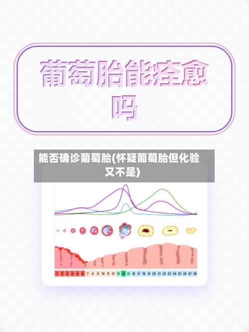 能否确诊葡萄胎(怀疑葡萄胎但化验又不是)