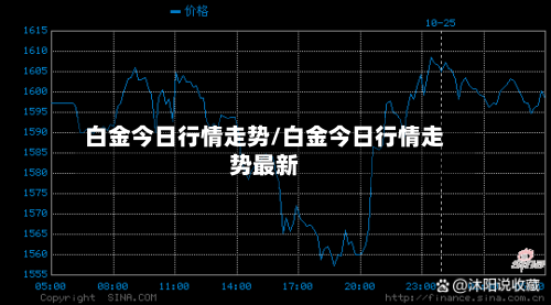 白金今日行情走势/白金今日行情走势最新