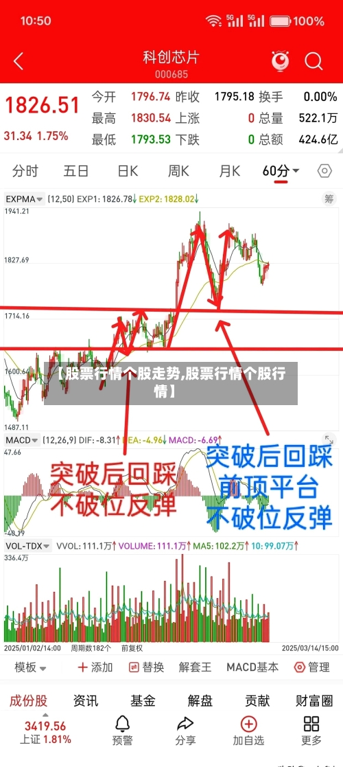【股票行情个股走势,股票行情个股行情】