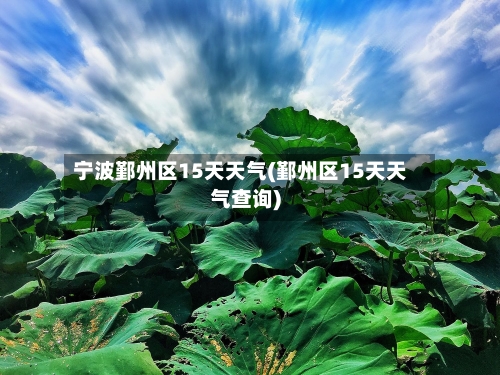 宁波鄞州区15天天气(鄞州区15天天气查询)