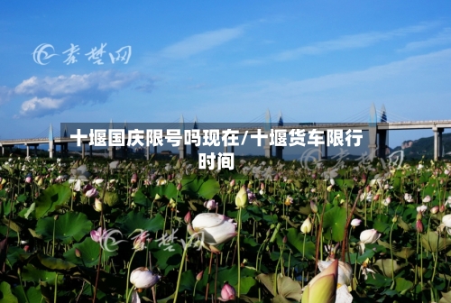 十堰国庆限号吗现在/十堰货车限行时间