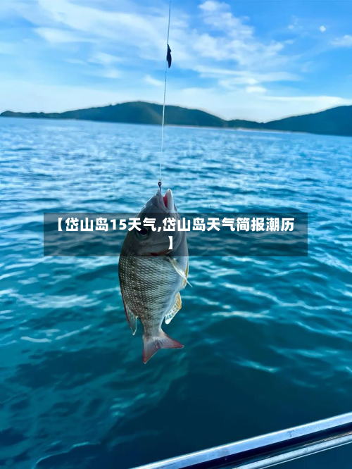 【岱山岛15天气,岱山岛天气简报潮历】