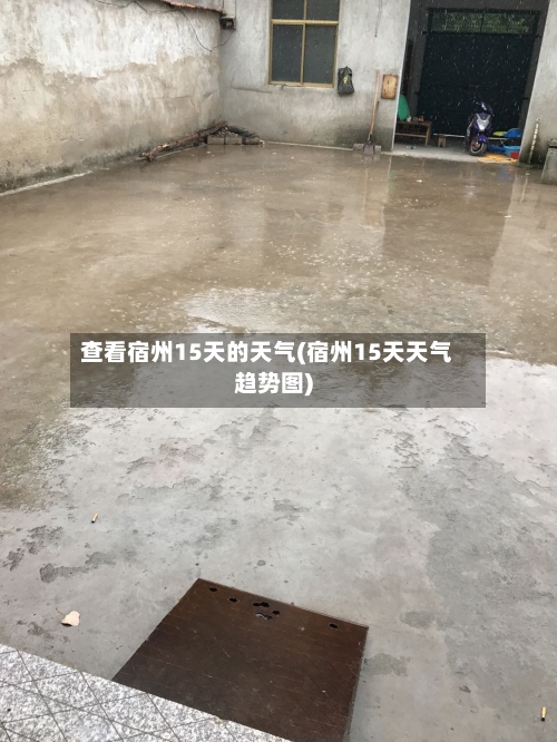 查看宿州15天的天气(宿州15天天气趋势图)