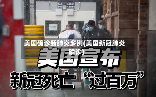 美国确诊新肺炎多例(美国新冠肺炎确诊)