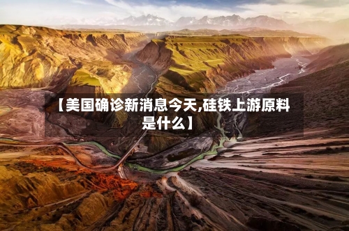 【美国确诊新消息今天,硅铁上游原料是什么】