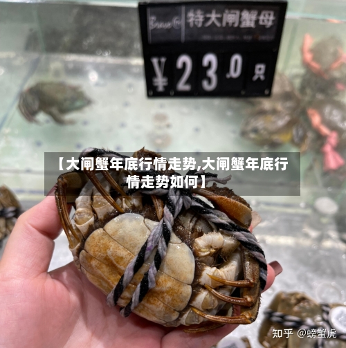 【大闸蟹年底行情走势,大闸蟹年底行情走势如何】