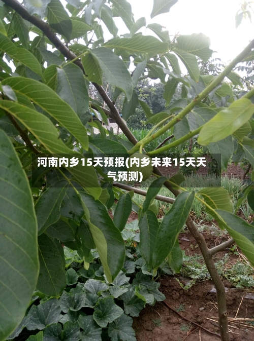 河南内乡15天预报(内乡未来15天天气预测)
