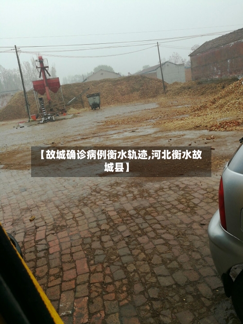 【故城确诊病例衡水轨迹,河北衡水故城县】