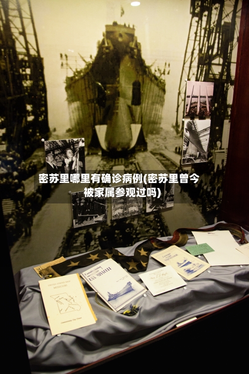 密苏里哪里有确诊病例(密苏里曾今被家属参观过吗)