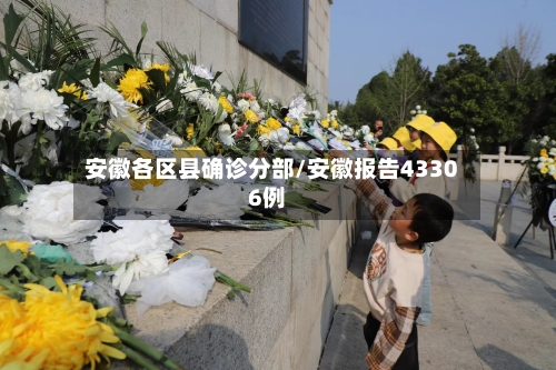 安徽各区县确诊分部/安徽报告43306例