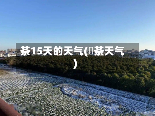 茶15天的天气(栟茶天气)