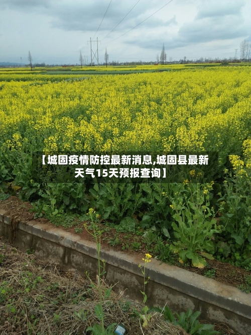 【城固疫情防控最新消息,城固县最新天气15天预报查询】